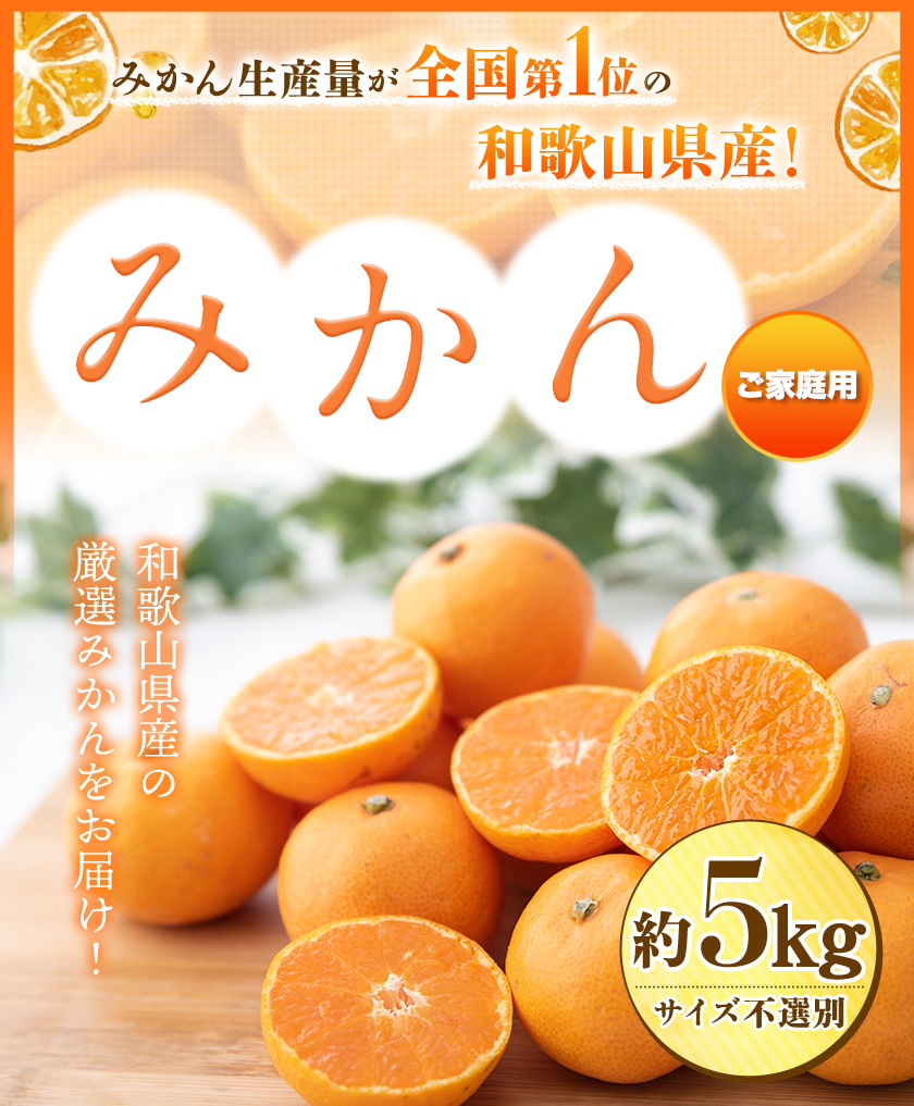  【訳あり/ご家庭用】 先行予約 和歌山県産みかん 約5kg【サイズ混合】 サンファーム《10月上旬-1月下旬頃出荷》和歌山県 紀の川市