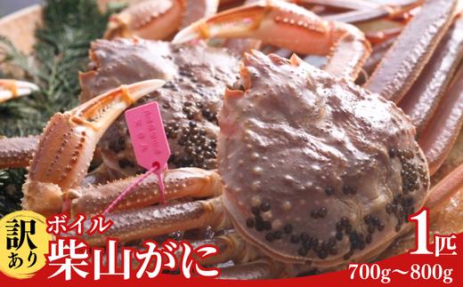 【先行予約】柴山ガニ ズワイガニ【訳あり ボイル 柴山がに（冷凍）700g～800g 1匹 冷凍】令和７年11月中旬より順次発送予定 大人気 ふるさと納税 おすすめ 返礼品 ランキング カニの本場 香住産 急速冷凍 浜茹で１～2本足折れ 味や品質に問題ありません 数量限定 香住カニ 香美町 香住 柴山 日本海 かに ゆで蟹 むき身 指おち 足 爪 かにすき 鍋 57000円 04-07　