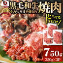 【ふるさと納税】1131-2　とろける黒毛和牛リッチな薄切り焼肉750g(250g×3P) 秘伝のタレ漬け