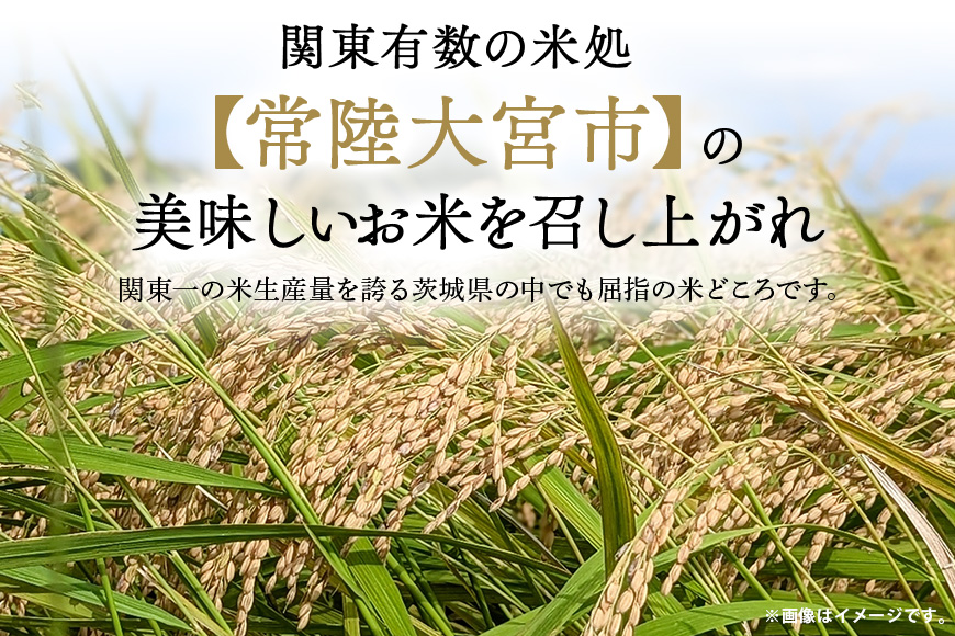 常陸大宮産 コシヒカリ 15kg(5kg×3) 特選限定米 白米 精米 おこめ 訳アリ ご飯 国産米 お米ギフト ブランド米 贈答用 人気のお米 美味しいお米