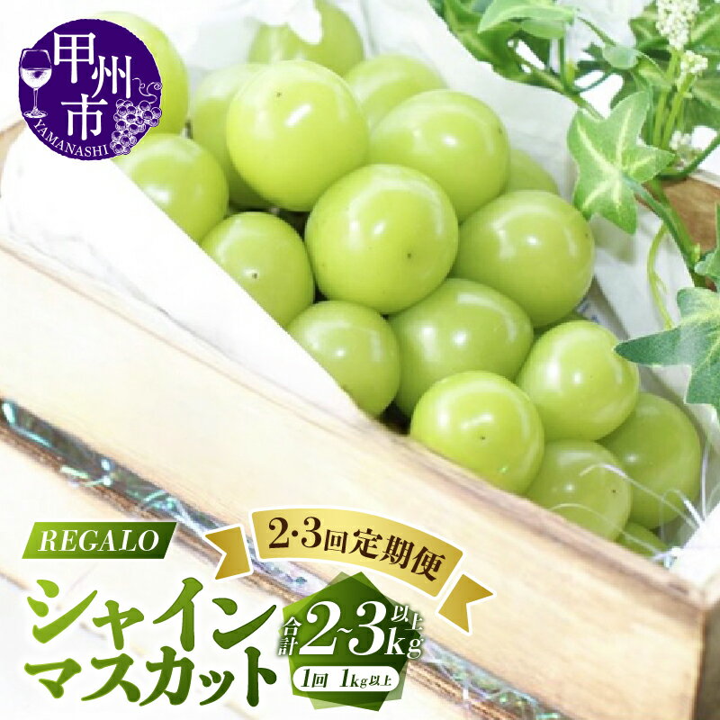 【ふるさと納税】 2026年 先行予約 定期便 シャインマスカット 選べる 回数 2回 3回 1kg以上 2房 3房 果物 フルーツ 9月 上旬 中旬 下旬 発送 期間限定 産地直送 山梨県 甲州市 ぶどう 葡萄 ブドウ 種無し ギフト プレゼント 社員マスカット （RG）