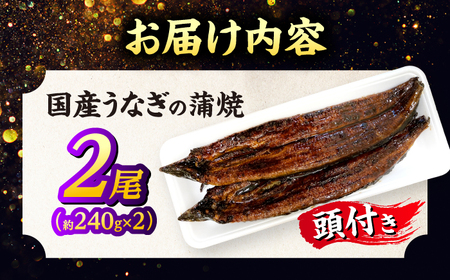 うなぎ 国産うなぎの蒲焼×2尾（頭付き）島根県松江市/うなぎの源内[ALHE002] うなぎ うなぎ