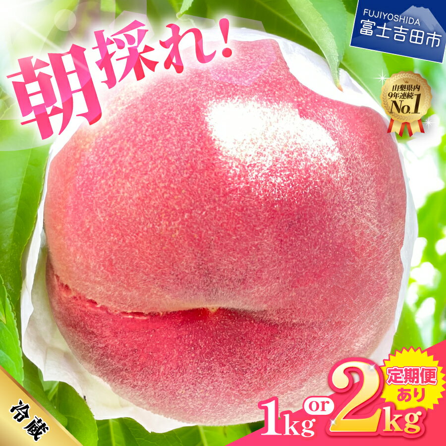桃 山梨 朝どれ もも 2kg 大玉5玉～7玉 くだもの フルーツ 山梨県 産地直送 モモ