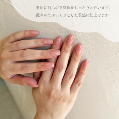 ふるさと納税 明和町 ハンド・フットジェルネイル (ワンカラー) 体験チケット HOLInail+eyelash |  | 01