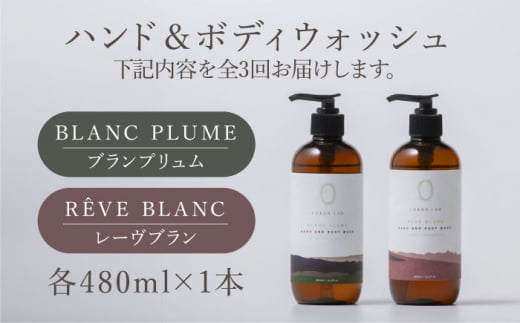 【全3回定期便】COKONLAB ハンド＆ボディウォッシュ BR480ml 2本セット【株式会社 あつまるホールディングス NSP山鹿工場】 [ZBR023]