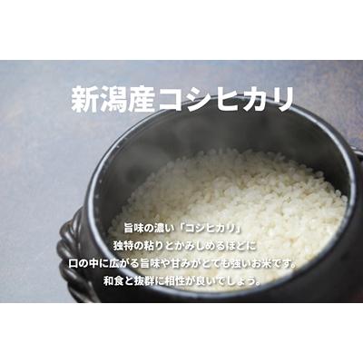 ふるさと納税 阿賀野市 【令和8年産新米】【5回定期便】コシヒカリ5kg×5回　米杜氏 阿賀野市産 |  | 01