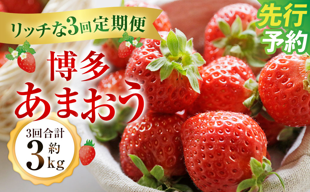博多あまおうリッチな3回定期便【2026年12月上旬～2027年2月下旬発送予定】 いちご イチゴ 苺 あまおう 大きい 大粒 あまい 甘い 果汁 果物 フルーツ 高級 3kg 3000g 福岡 冷蔵