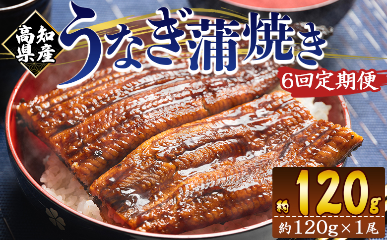 【６回定期便】高知県産養殖うなぎ蒲焼き 100～120g 1尾 Wfb-0035