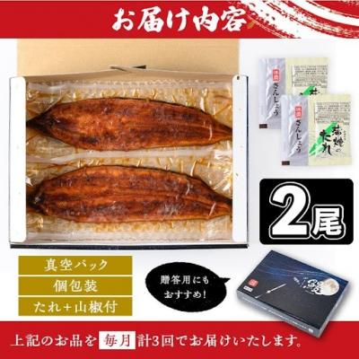ふるさと納税 肝付町 <定期便・計3回(連続)>うなぎ蒲焼・大(有頭)(2尾計330g以上3回タレ山椒付)　E57003 |  | 03