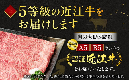 近江牛ロースすき焼き600g　C-E14　肉の大助  東近江