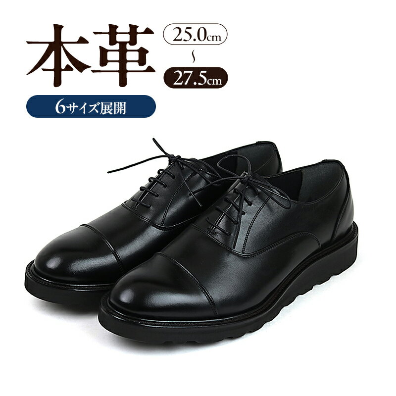 【ふるさと納税】1288 カジュアルシューズ ストレートチップ 3Eウィズ BLACK（ブラック）　メンズ ファッション 靴 シューズ 本革　25.0cm〜27.5cm
