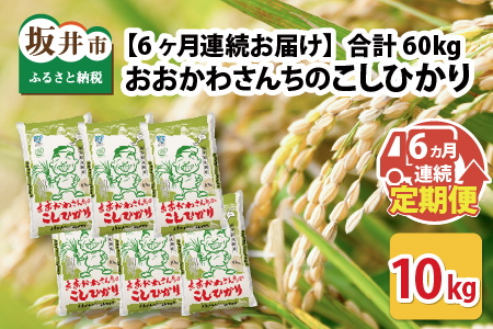 【令和7年産】 【6ヶ月連続お届け定期便】おおかわさんちのコシヒカリ 10kg × 6回 計60kg  [L-10802]