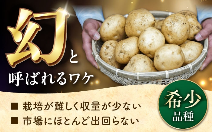 デジマ じゃがいも ジャガイモ 春作 新じゃが 長崎 国産 野菜 旬 家庭用 長崎 雲仙 南串山