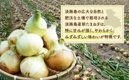山木さんちのプレミアム 新玉ねぎ 10kg 期間限定 玉ねぎ 旬 春 産地直送 兵庫県 洲本市 淡路島