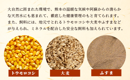 【 A4～ A5 等級 】くまもと黒毛和牛 焼肉用 500ｇ【 ブランド 牛肉 肉 やき肉 焼き肉 バラ ロース モモ 和牛 国産 熊本県 上級 上質 】106-0501