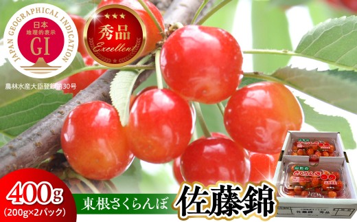 【2027年産】 GI 東根さくらんぼ 佐藤錦 秀品 400g(200g×2P) Lサイズ以上 山形県 東根市 ベジフルひがしね hi104-023-r9 フルーツ 果物 くだもの さくらんぼ サクランボ 佐藤錦 期間限定 先行受付 ご当地 特産 産地 直送 人気