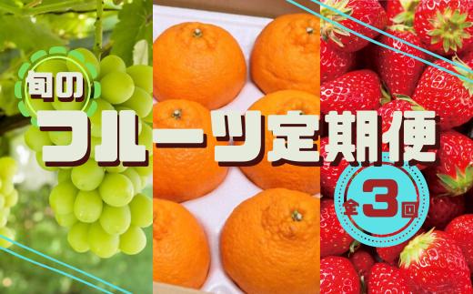 
            旬のフルーツ定期便（シャインマスカット・イチゴ・不知火） 全3回
          