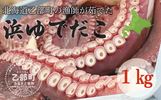 
                  採れたてのタコを漁師が浜ゆで！食感絶妙 お刺身で【漁師の浜ゆでたこ：約1kg】＜ 北海道 道産 乙部町 いさり漁乙部町産 蛸 タコ たこ足 ミズダコ タコ 刺身 唐揚げ おかず おつまみ 真空パック お土産 グルメ 国産 食品 海鮮 刺身 一味 人気 おすすめ ＞
                