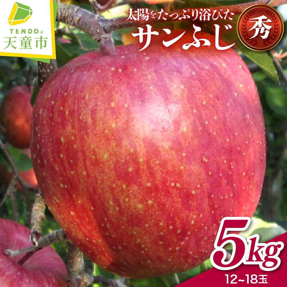 【ふるさと納税】 りんご （ サンふじ ） 5kg リンゴ 秀 12 ～ 18 玉 果物 フルーツ 家庭用 贈答 ギフト プレゼント おすそ分け お取り寄せ 秋 旬 冬 期間限定 産地直送 送料無料 先行予約 【 山形県 天童市 】