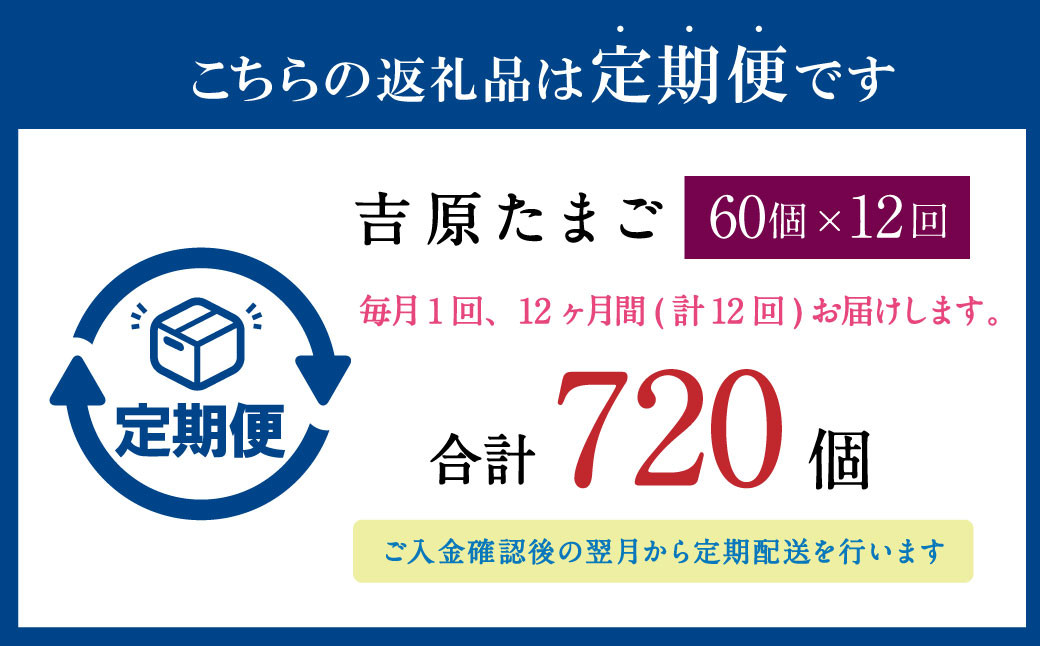 【12ヶ月定期便】濃厚プレミアム！！吉原たまご2箱 30個入り×2箱 計60個 卵 たまご