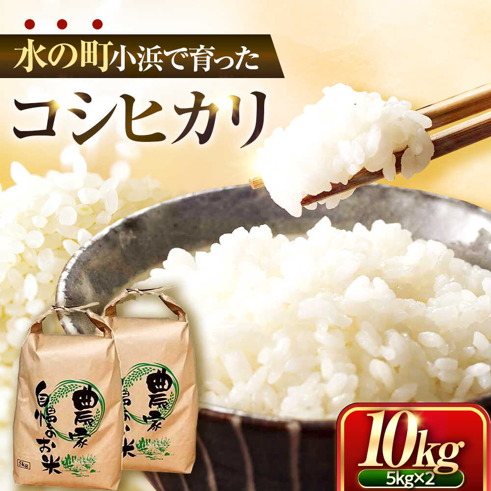 【ふるさと納税】小浜のコシヒカリ 10kg（5kg×2袋）/ 白米 精米 国産米 福井県 小浜市 / 市左ヱ門米屋[BFEN001]