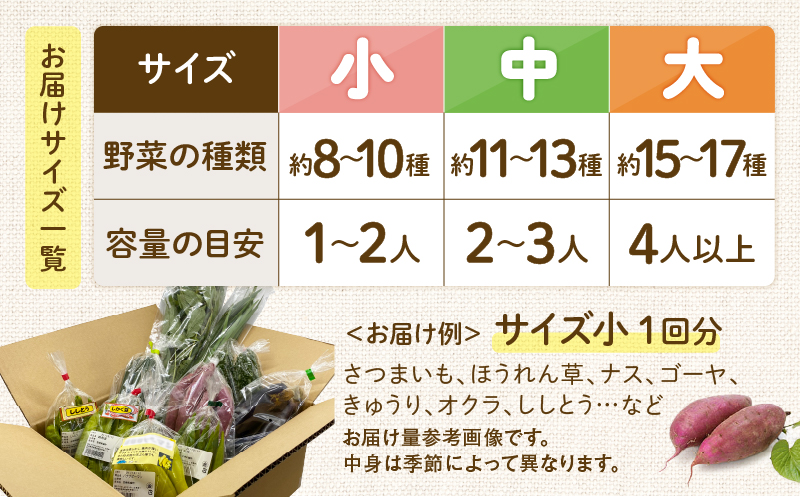 【全４回定期便】春夏秋冬 季節のお野菜セット（サイズ小）約8～10種