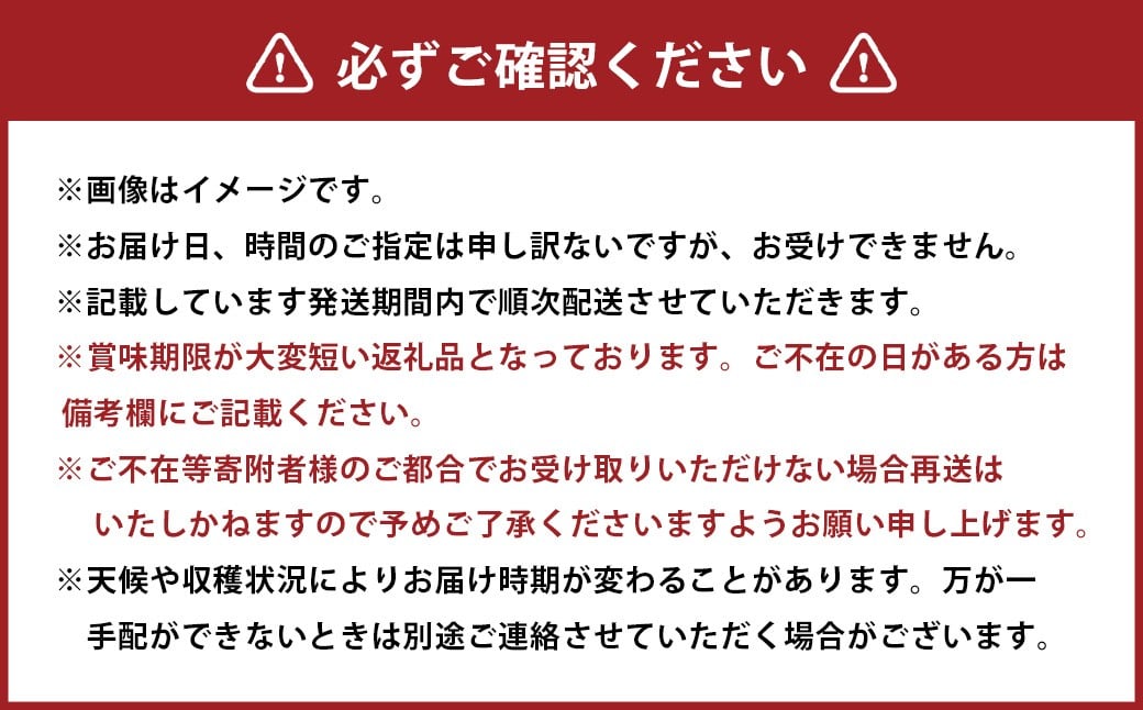 先行予約岡山県産ニューピオーネ 約2kg（3～6房）【2026年8月下旬～10月下旬まで順次発送予定】 葡萄 ぶどう ブドウ フルーツ 果物 冷蔵