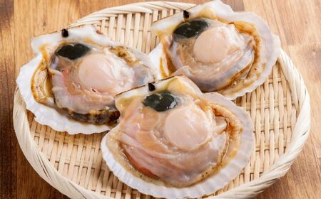 北海道 豊浦町 殻付き 2年貝 活ホタテ 約5kg 【 ふるさと納税 人気 おすすめ ランキング 魚介類 貝 帆立 ホタテ ほたて 噴火湾 殻付き 二年貝 おいしい 美味しい 北海道 豊浦町 送料無料