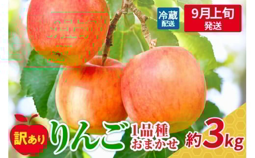 【2025年9月上旬発送】おまかせ 訳ありりんご 約 3kg （7～12個程度） 青森 |選べる配送時期|  りんご 青森 五所川原 3kg 程度