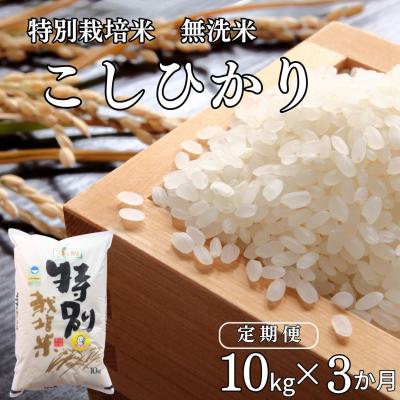 ふるさと納税 三条市 [定期便 10kg×3ヶ月] 県認証 特別栽培米 コシヒカリ 令和7年産 無洗米【061S009】