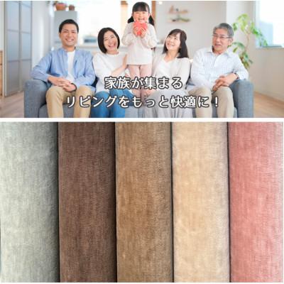ふるさと納税 和泉市 【江戸間6畳】やわらかカットパイルのリビングカーペット ブラウン(フォート6畳BR) |  | 02