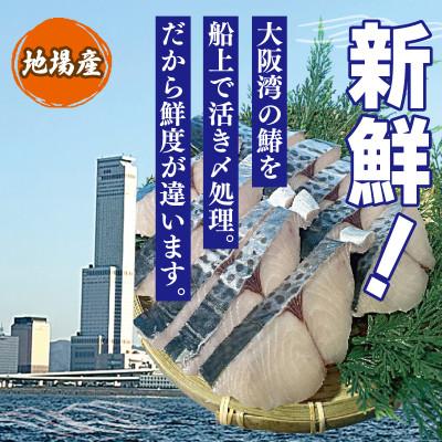 ふるさと納税 泉佐野市 さわら 西京漬け 切り身 合計850g 小分け 5パック 099H3867 |  | 01