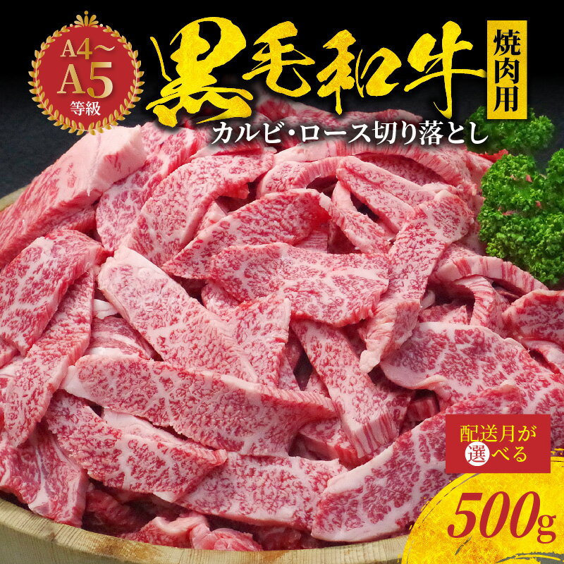 【ふるさと納税】ミシュランビブグルマン 獲得 黒毛和牛 焼肉用 500g 選べる 配送月 カルビ ロース 切り落とし ミックス 厚切り 牛肉 肉 牛 脂 旨い 霜降り サシ A4 ～ A5 等級 等級限定 BBQ 焼肉 肉丼 料理 たなか畜産 産地直送 冷凍 食品 熊本県 天草市 グルメ 送料無料
