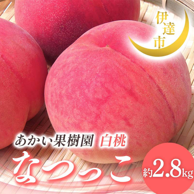 【2026年出荷分先行予約】福島県産 なつっこ 約2.8kg (7～10玉) あかい果樹園 贈り物 贈答 ギフト 伊達の桃 桃 フルーツ 果物 もも モモ momo F21C-307