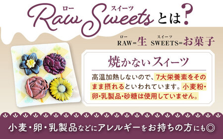 栄養たっぷり ローチョコレート8個入り / チョコ ご褒美 スイーツ おやつ ギフト / 大村市 / ROSSO raw sweets[ACBQ001]