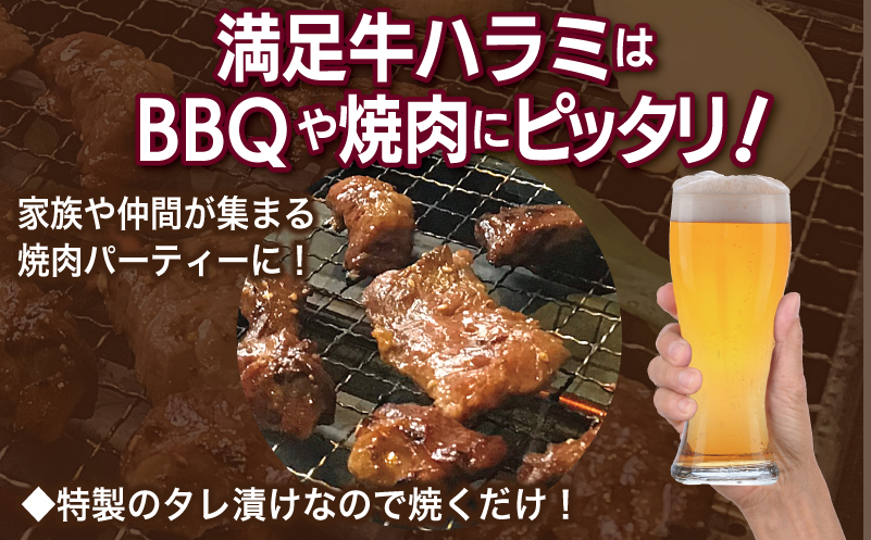 【タレ漬け牛肉2種セット】 満足牛ハラミ・牛肉切り落とし 合計1kg 【味付け ハラミ 小分け 焼くだけ 簡単調理 BBQ 牛肉 250g×各2P】 010B1726