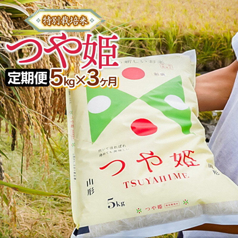 【ふるさと納税】【定期便】令和7年産　特別栽培米 つや姫 精米5kg×3ヶ月　山形県鶴岡市産　株式会社 嘉左ヱ門