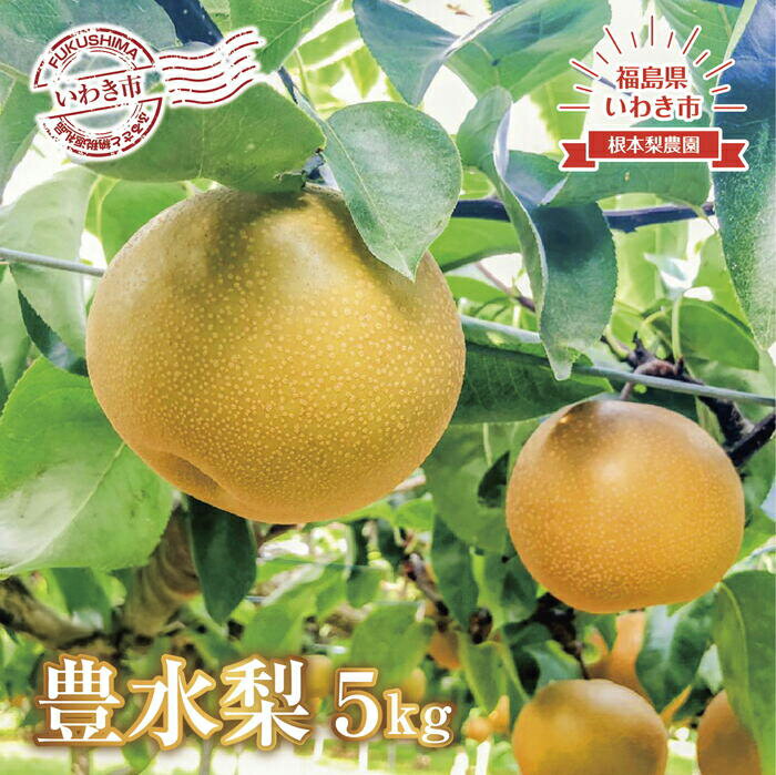 【ふるさと納税】《 先行予約 》 福島県 いわき市産 梨（ 豊水 ）5kg ｜ フルーツ 果物 くだもの 食品 人気 おすすめ 送料無料