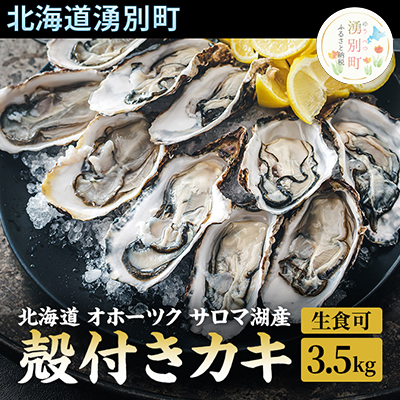 先行予約 北海道 オホーツク サロマ湖産 殻付き カキ 生食可 3.5kg 牡蠣職人厳選 牡蠣 国産 貝付き 魚貝類 生牡蠣 ノロウイルス検査実施 海のミルク 海鮮 海の幸 つまみ 晩酌 お酒のあて 