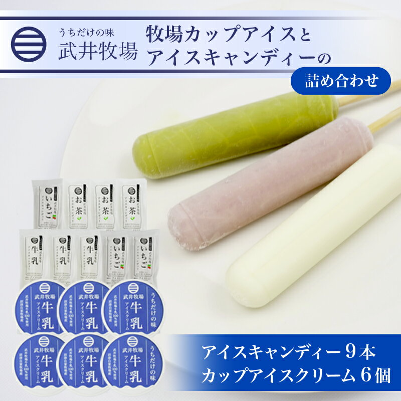【ふるさと納税】 アイスクリーム カップアイス 6個 アイスキャンディー 3種 計9本 セット 武井牧場 自家製 アイス 牧場 牛乳 いちご お茶 キャンディー 食べ比べ ギフト スイーツ バニラ チョコレート 抹茶 季節限定 ミルク 沼津市 静岡県