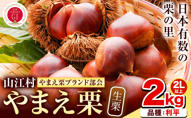 
                  GI認証登録 山江村の やまえ栗 生栗 2kg 品種 利平 やまえ栗ブランド部会 有限会社やまえ堂《9月下旬-10月中旬頃出荷》熊本県 球磨郡 山江村 栗 くり フルーツ 熊本県産 果物 早期 予約 st-p
                