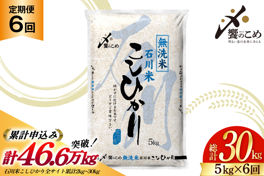 米 定期便 無洗米 石川米 こしひかり 5kg 6回 計 30kg [中橋商事 石川県 宝達志水町 38601337] コシヒカリ お米 こめ おこめ ごはん ご飯 6ヶ月 ６ヶ月 6か月 ６か月 5