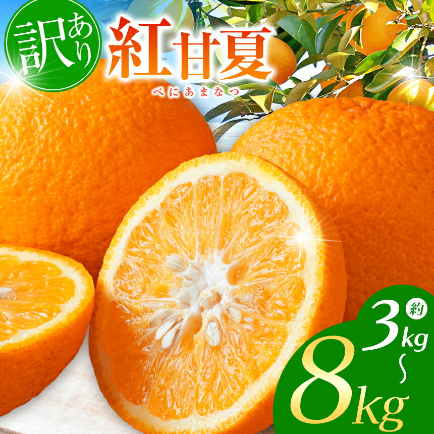 【ふるさと納税】【選べる内容量】訳あり 紅甘夏 約 3～8kg | 柑橘 みかん フルーツ 家庭用 甘夏 あまなつ 熊本県 玉名市 3キロ 5キロ 8キロ 送料無料