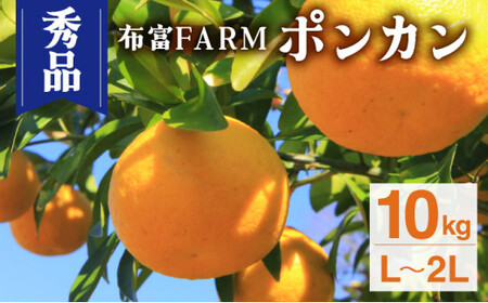 NT2-7-04【kg数が選べる】 ＜秀品ポンカンL?2L　10kg＞