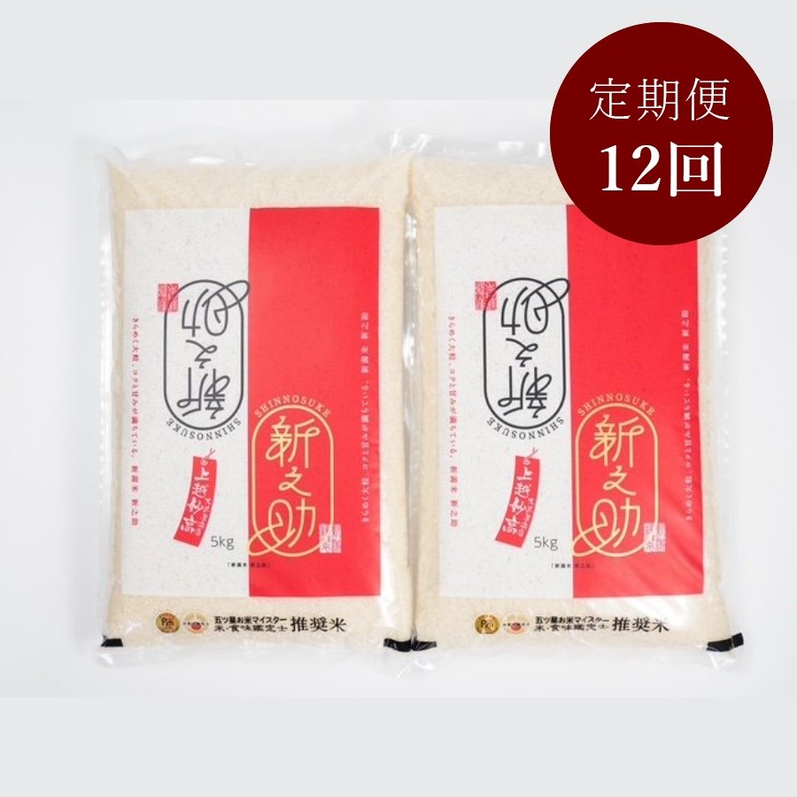 新潟県上越産新之助5kg×2 定期便12回