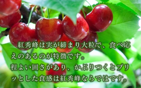【令和7年産先行予約】 さくらんぼ 「紅秀峰」 バラ詰め 500g 山形県鶴岡産　鈴木弥吉さくらんぼ園　K-732