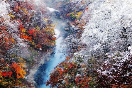 阿部旅館 宿泊券 2名様 ステーキプラン【(有)阿部旅館】[F7107]