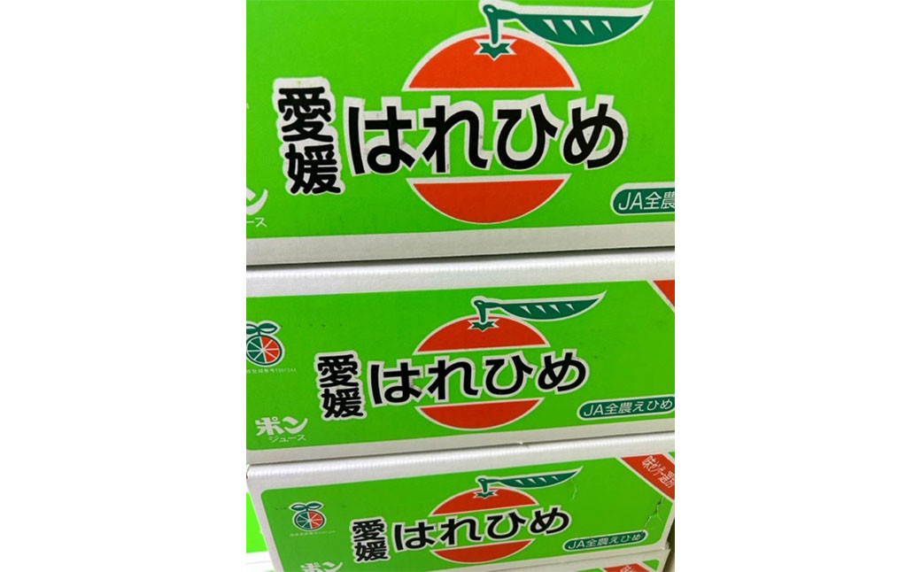 はれひめ 2L～M 約5kg （822）