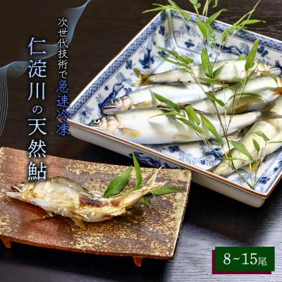 ふるさと納税 いの町 仁淀川の天然鮎(8匹〜15匹)★冷凍