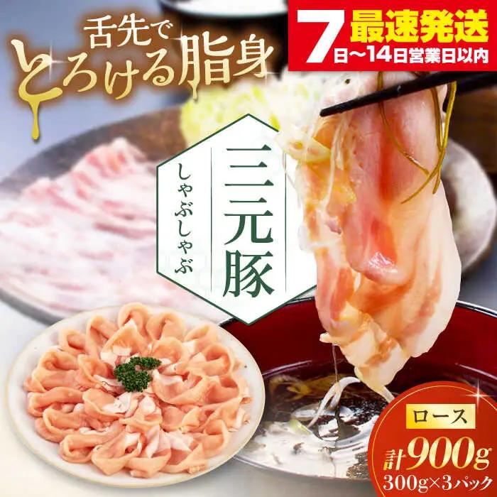  しゃぶしゃぶ セット 900g しゃぶしゃぶ 肉 AJAP067